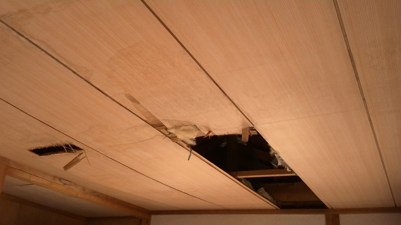 雨漏りにより変形し、汚れた和室天井の張替えをしました。